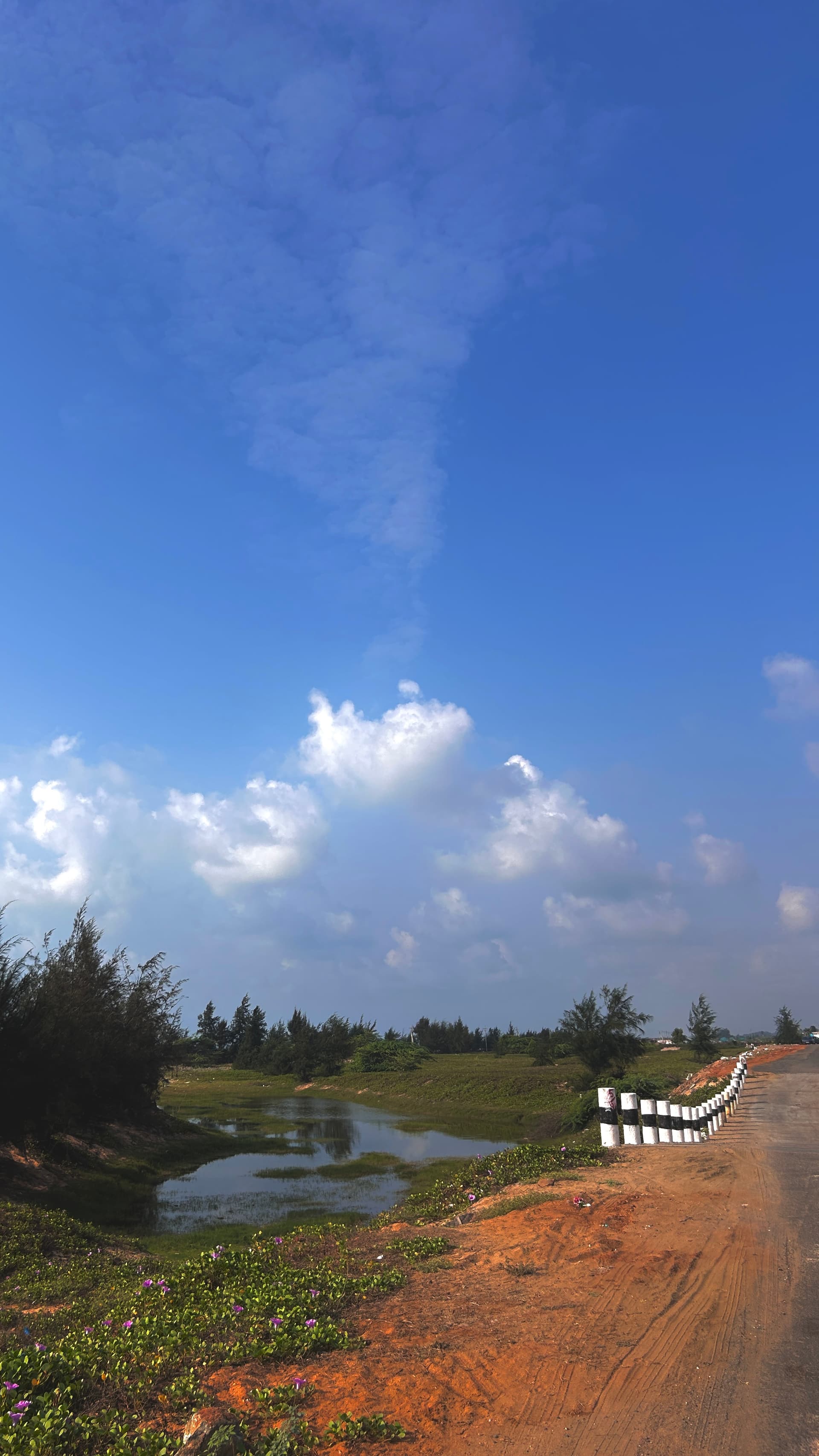a pretty scene while walking down the chirala beach
