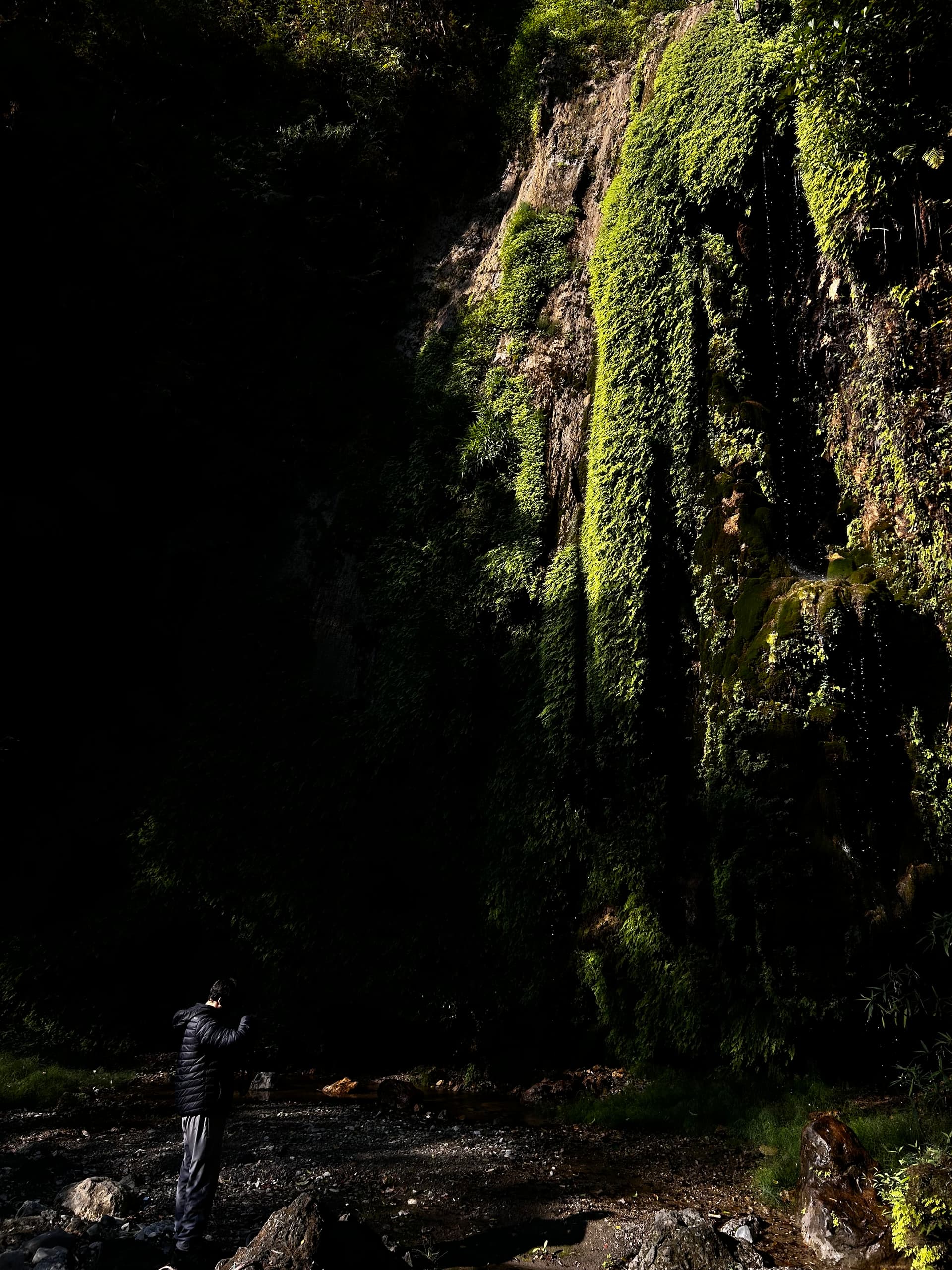 a mossy waterfall in jharipani, mussoorie