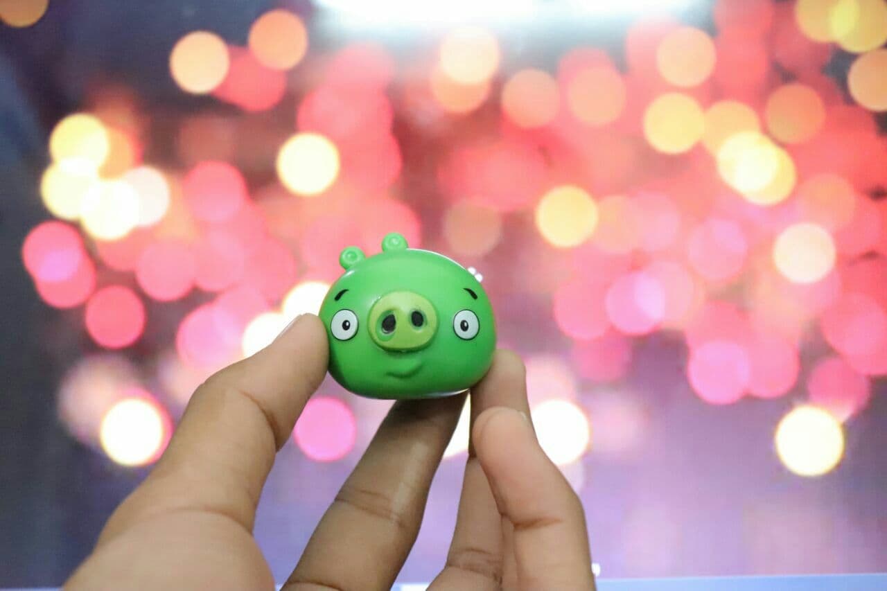 bokeh with angry birds pigoo